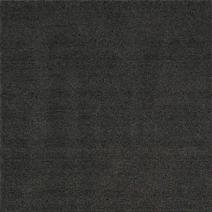 Camara Area Rug