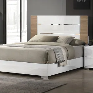 Erlangen Bed