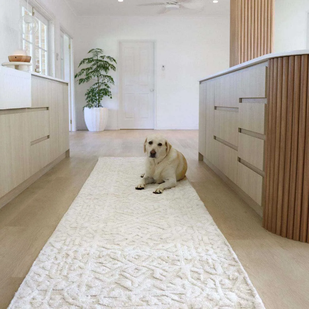 Josephine Tribal Transitional Runner Rug