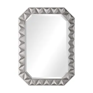 Rhino Mirror