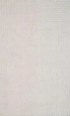 Rug 400*500 cm 18107