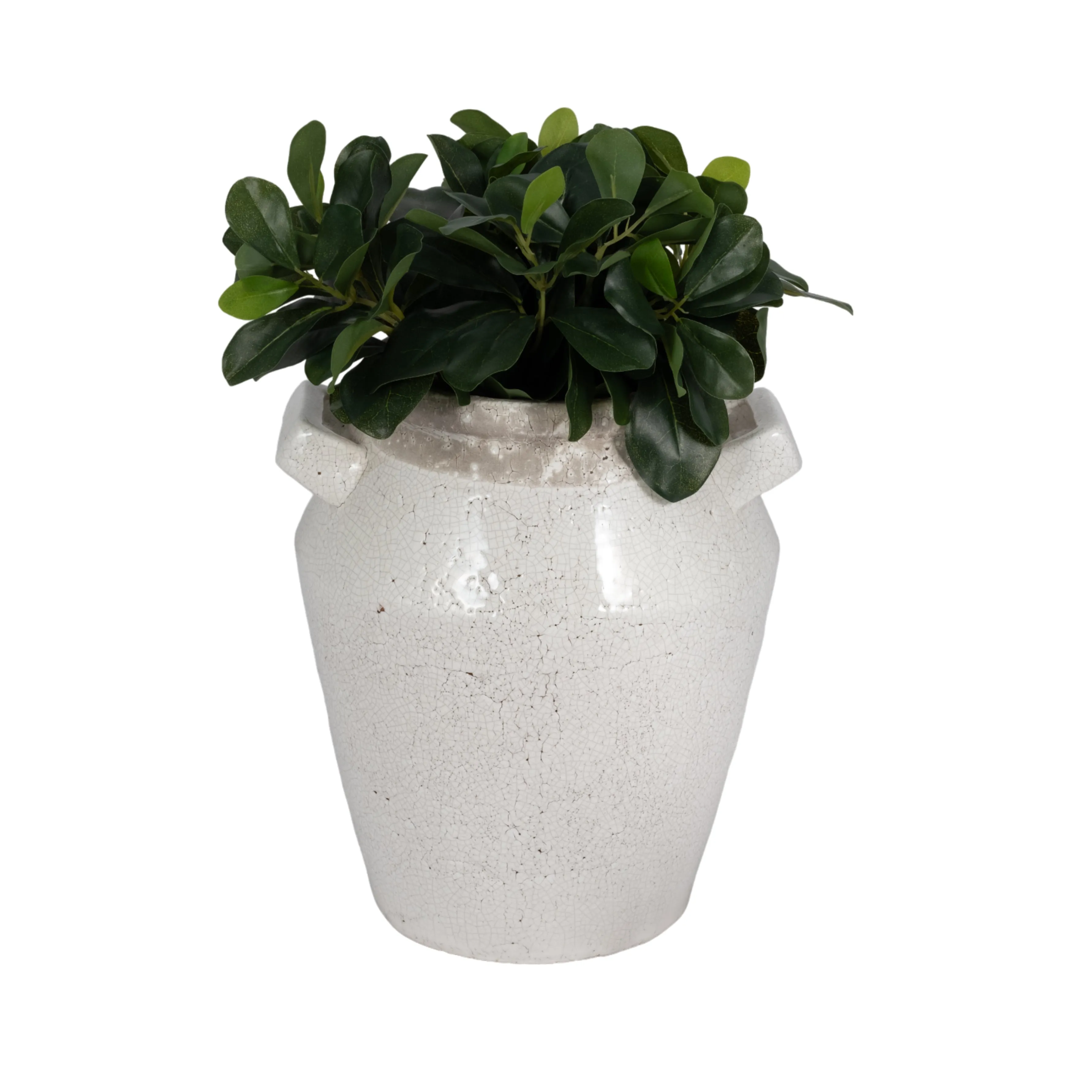 Vases